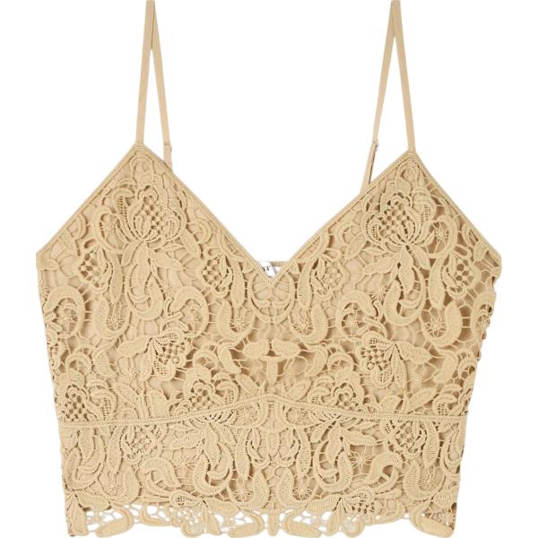 top Terranova marrone