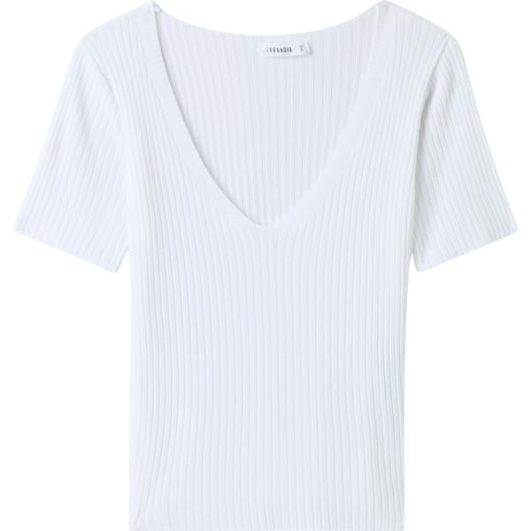 t-shirt Terranova bianco tinta unita