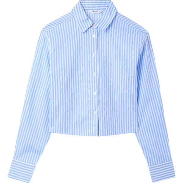 camicie Terranova blu a righe