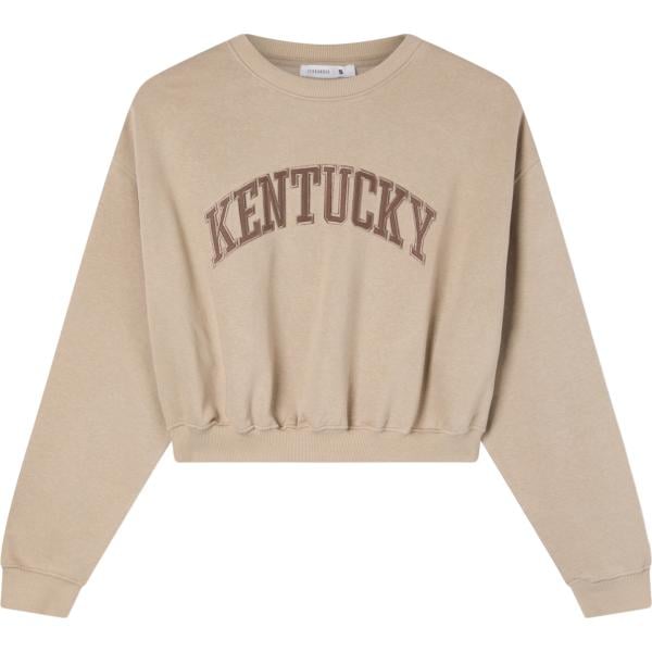felpe Terranova marrone con stampe
