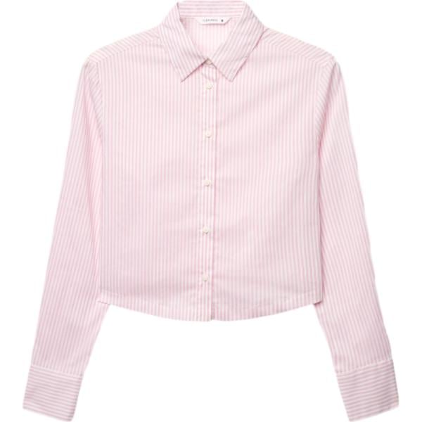 camicie Terranova rosa a righe