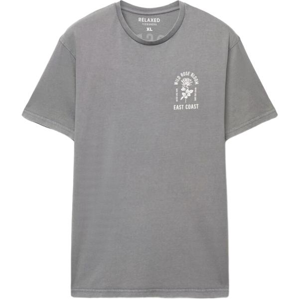 t-shirt Terranova grigio con stampe