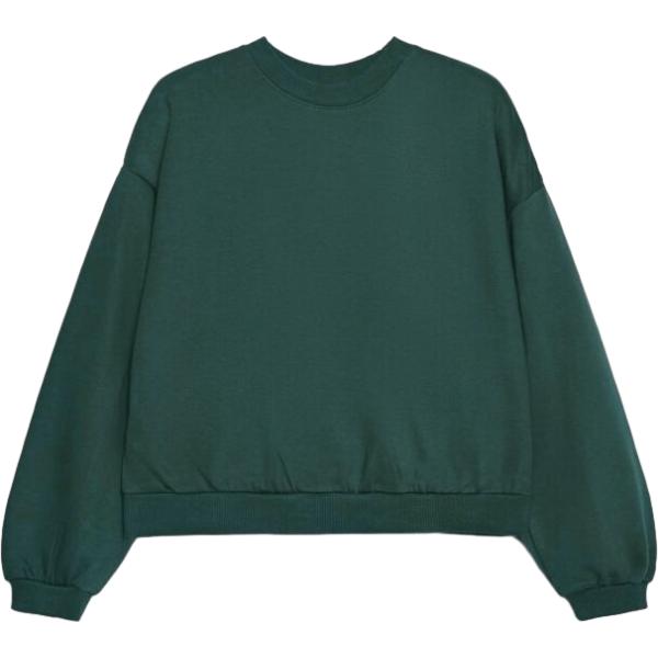 Felpa da donna in verde scuro collo senza cappuccio a maniche lunghe con zip in cotone Terranova