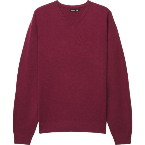 Maglione da uomo in bordeaux collo a v a maniche lunghe Terranova Terranova