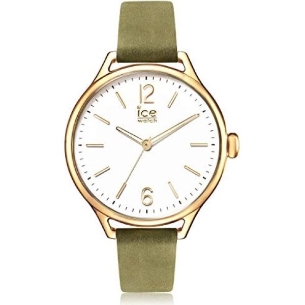 ICE-Watch vert