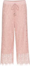 BODYFLIRT Culotte in pizzo (Beige) - BODYFLIRT